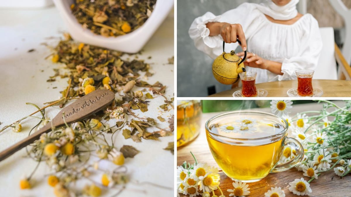 What Does Chamomile Tea Taste Like? A Detailed Flavor Analysis