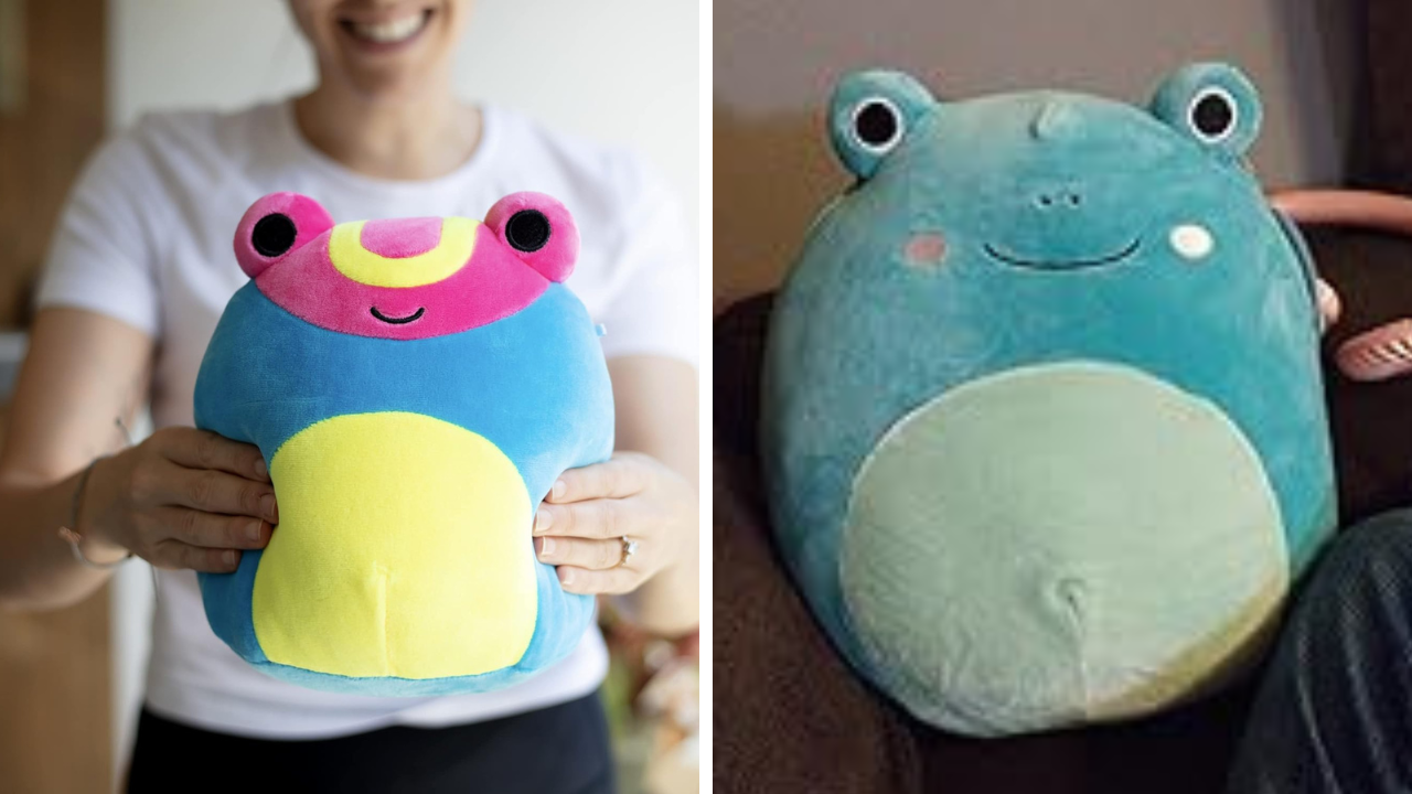 Frog Squishmallow Cup – La Nancy J Creations